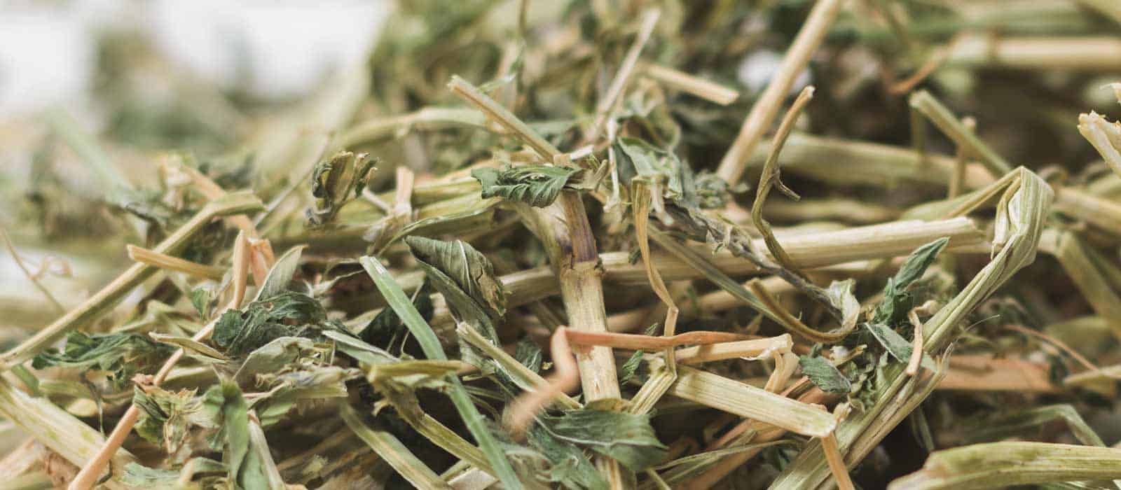 luzerne-hooi-alfalfa-bladrijk-structuur