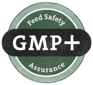 gmp-+-logo
