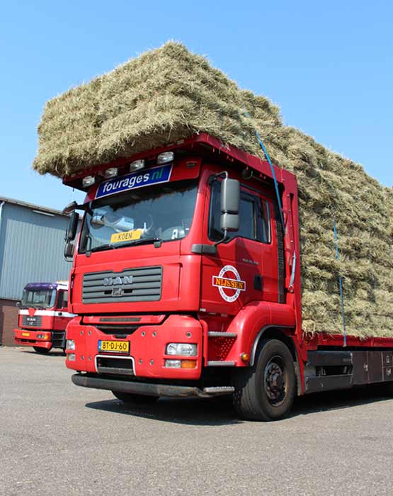 Hooi koop - weidehooi kopen in grote en kleine hooibalen