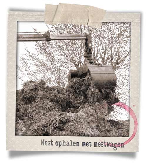 polaroid-mest-ophalen-mestwagen