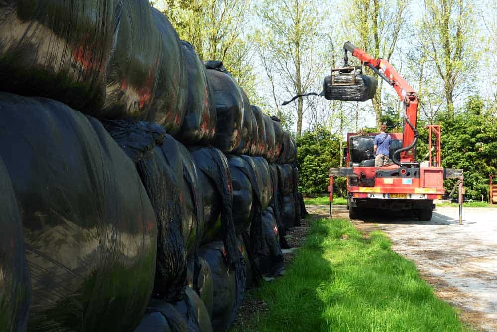 Wat Kuilgras & tussen Paarden Voordroog en Koeienkuil