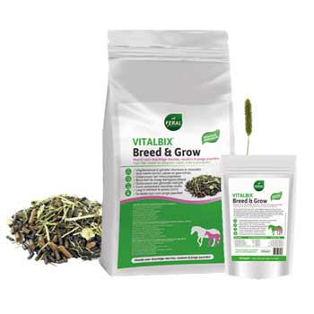 Vitalbix-Breed-Grow-thumb