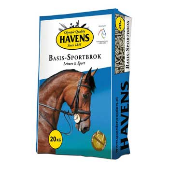 havens-basis-sportbrok-thumb