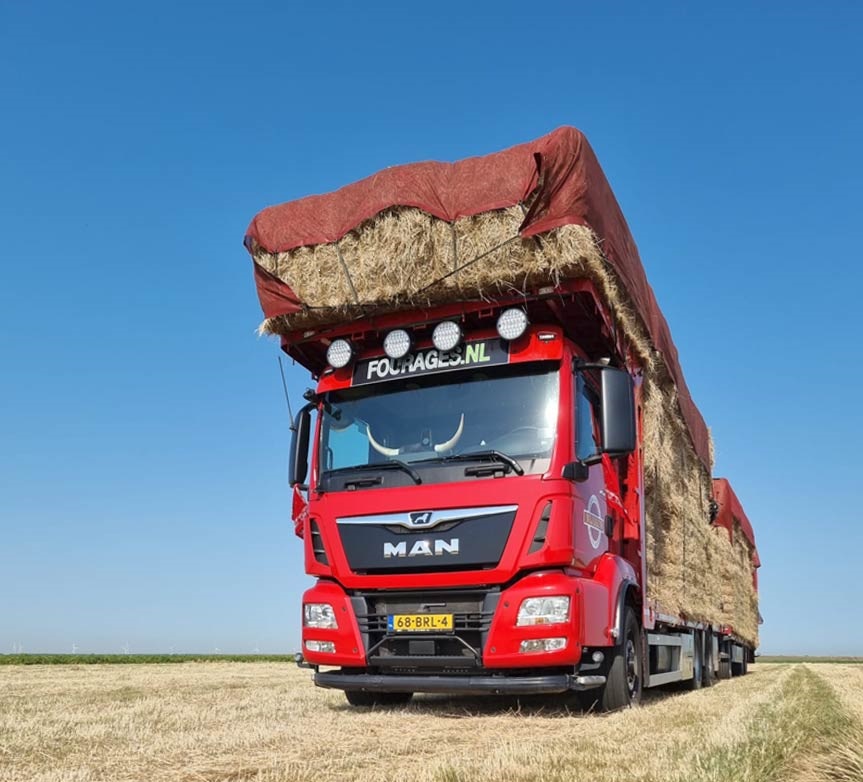 Engels-Raaigras-leveren