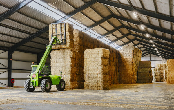 Kapitein Brie Klimatologische bergen Moderniseren Stro te koop - Kleine en grote strobalen - Lang tarwestro kopen Kapitein Brie Klimatologische bergen Moderniseren Stro te koop - Kleine en grote strobalen - Lang tarwestro kopen