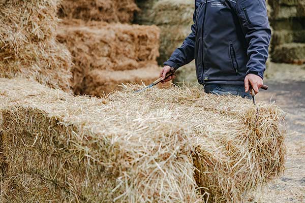 Hooi koop - weidehooi kopen in grote en kleine hooibalen