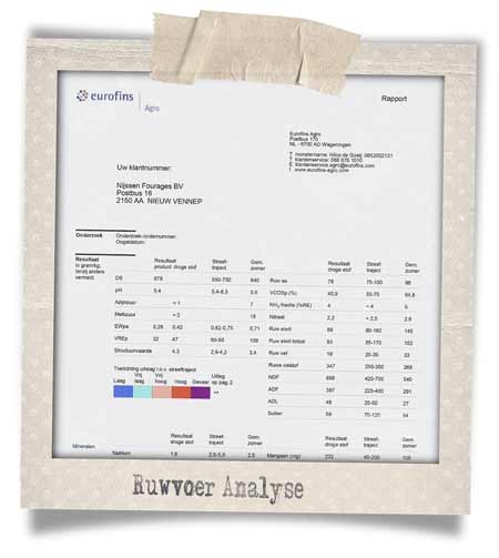 ruwvoer-analyse-thumb