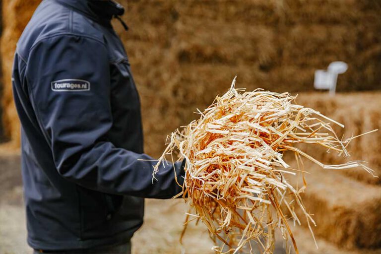 Verschil tussen hooi en stro - Nijssen Fourages