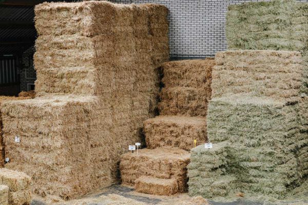 Verschil tussen hooi en stro - Nijssen Fourages