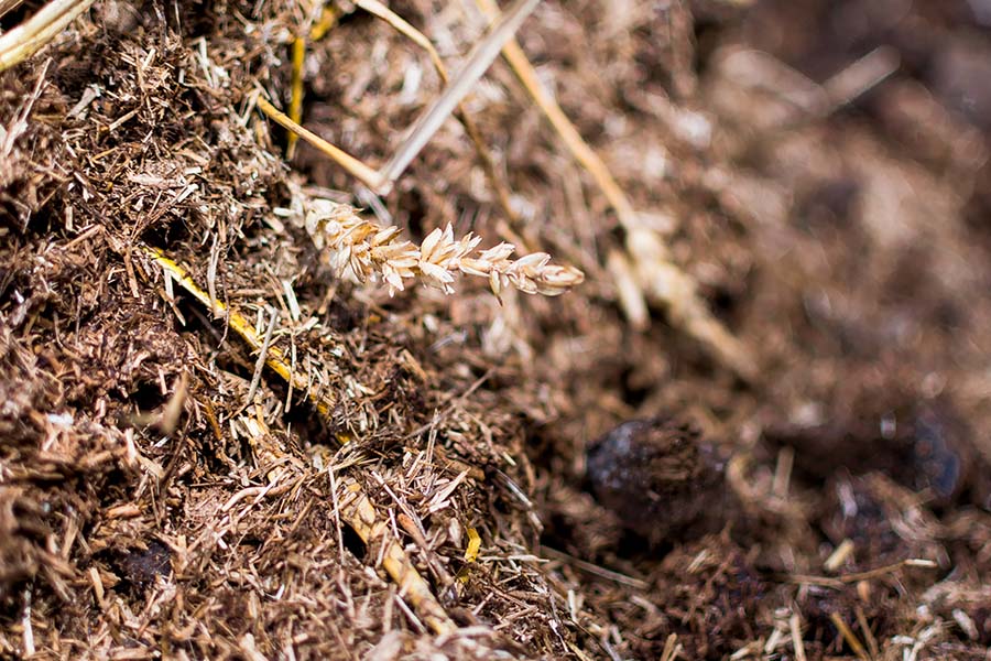 paardenmest-akkerbouw-header